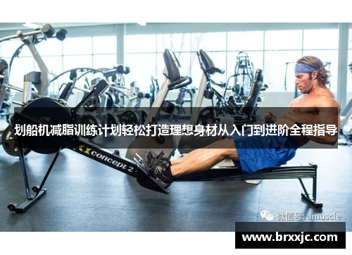 划船机减脂训练计划轻松打造理想身材从入门到进阶全程指导