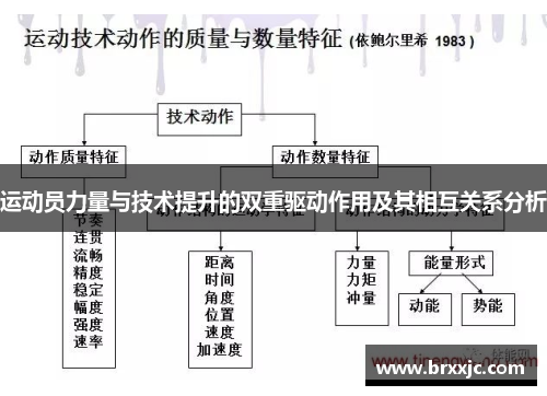 运动员力量与技术提升的双重驱动作用及其相互关系分析