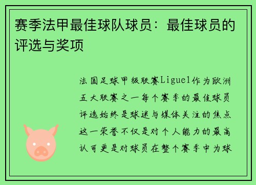赛季法甲最佳球队球员：最佳球员的评选与奖项