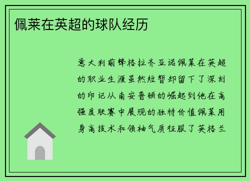 佩莱在英超的球队经历