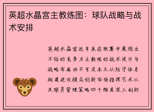 英超水晶宫主教练图：球队战略与战术安排