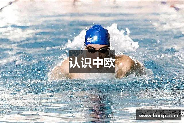 认识中欧